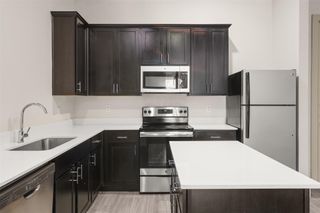 4509 Mount Vernon Street 39, Houston, TX 77006