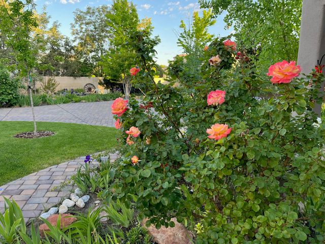 3823 Alamogordo Drive NW, Albuquerque, NM 87120