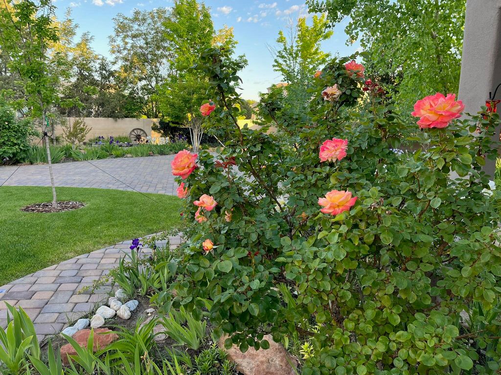 Image 72 of property listing at 3823 Alamogordo Drive NW, Albuquerque, NM 87120