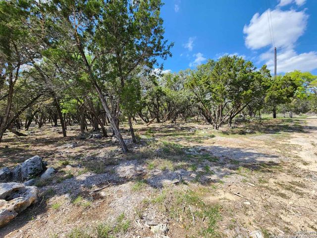 LOT 19 Forest Lake Dr, Spring Branch, TX 78070