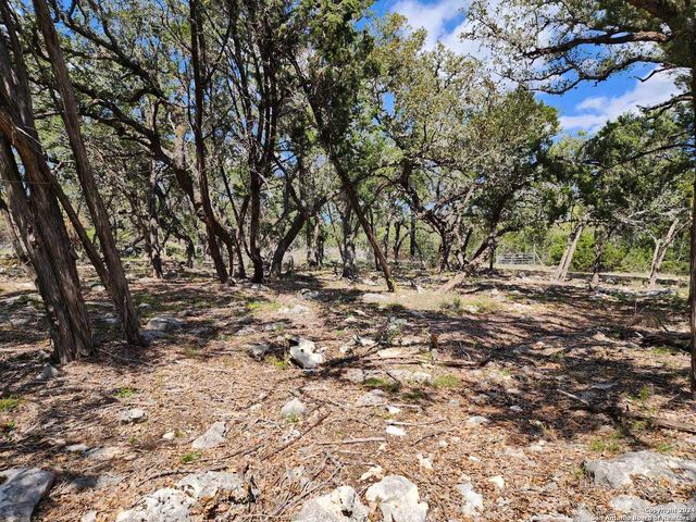 LOT 19 Forest Lake Dr, Spring Branch, TX 78070