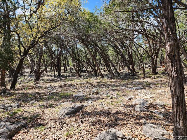 LOT 19 Forest Lake Dr, Spring Branch, TX 78070