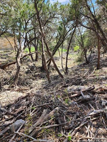 LOT 19 Forest Lake Dr, Spring Branch, TX 78070