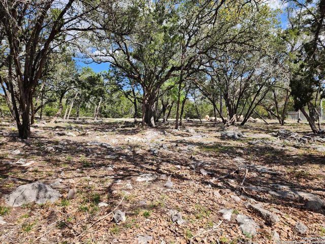LOT 19 Forest Lake Dr, Spring Branch, TX 78070