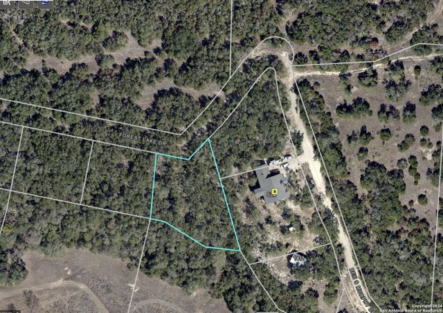 LOT 19 Forest Lake Dr, Spring Branch, TX 78070