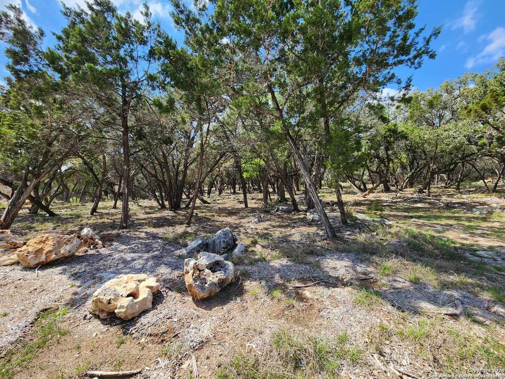 LOT 19 Forest Lake Dr, Spring Branch, TX 78070