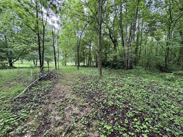 5312 Bluff Springs Rd, Mcminnville, TN 37110