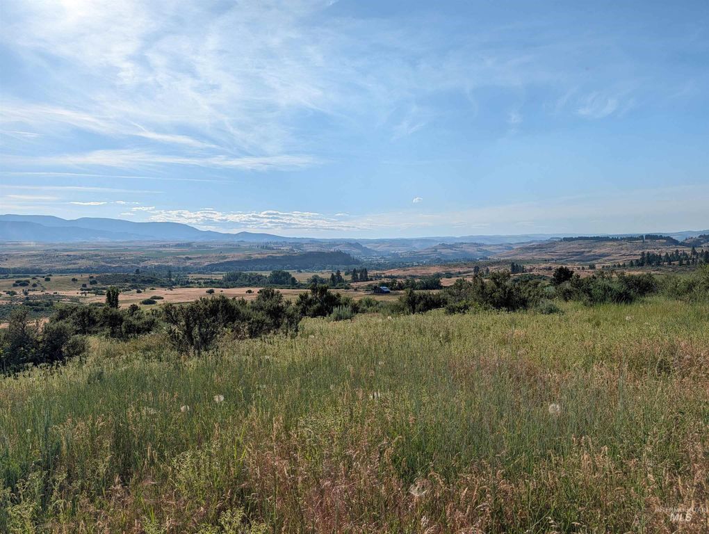 TBD To Be Determined, Council, ID 83612 photo 2