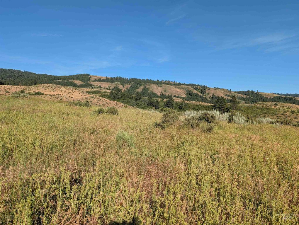 TBD To Be Determined, Council, ID 83612 photo 4