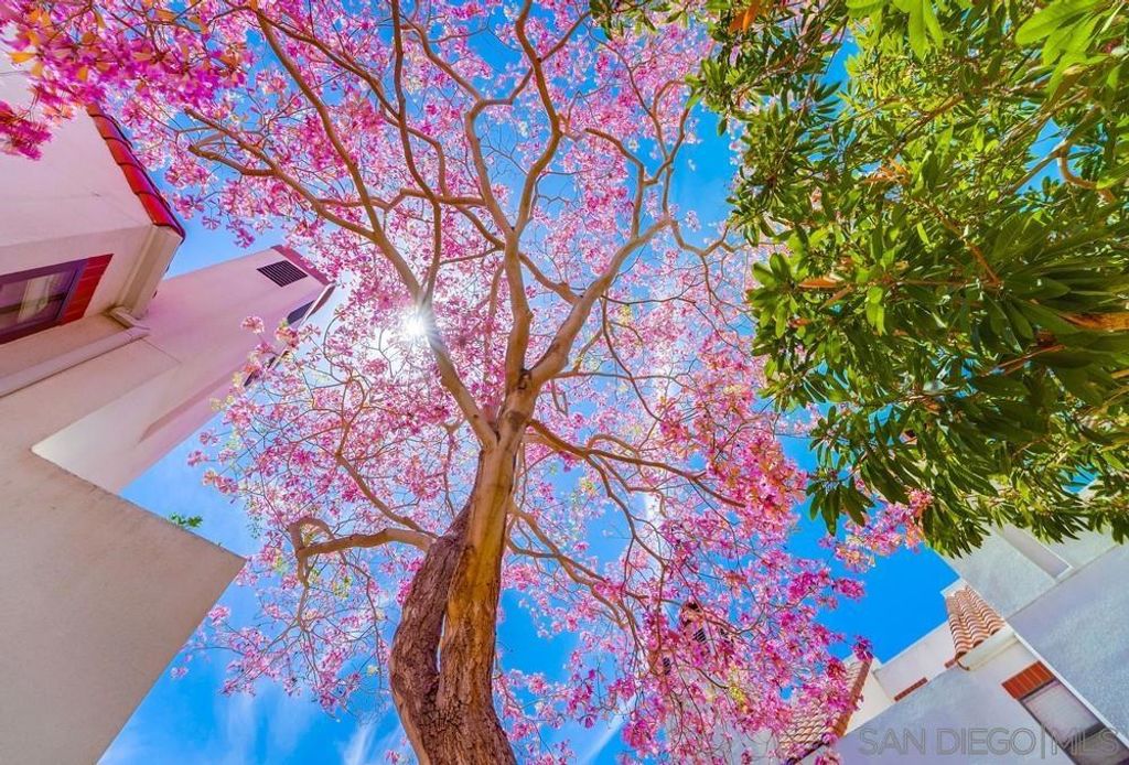 Image 11 of property listing at 701 KETTNER BLVD 190, San Diego, CA 92101