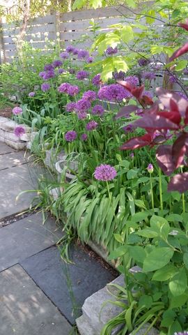 512 N Leavitt Street, Chicago, IL 60612