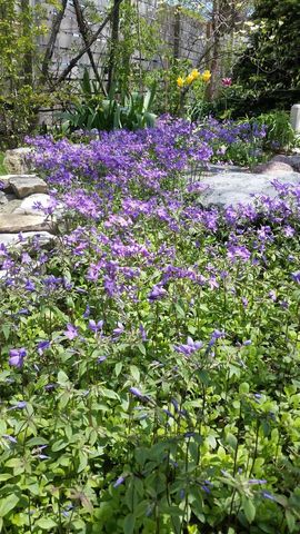 512 N Leavitt Street, Chicago, IL 60612