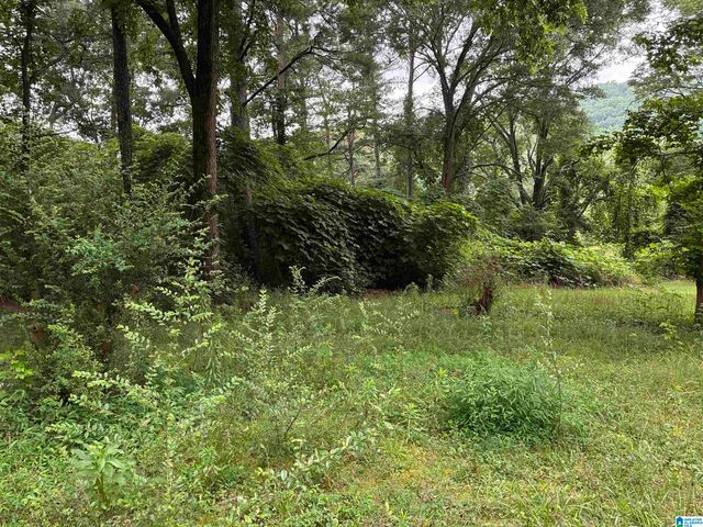 2839 HIGHWAY 174, Springville, AL 35146