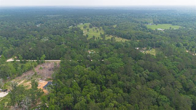 0 Pine Crest Street, Shepherd, TX 77371