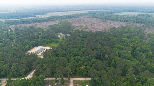 0 Pine Crest Street, Shepherd, TX 77371