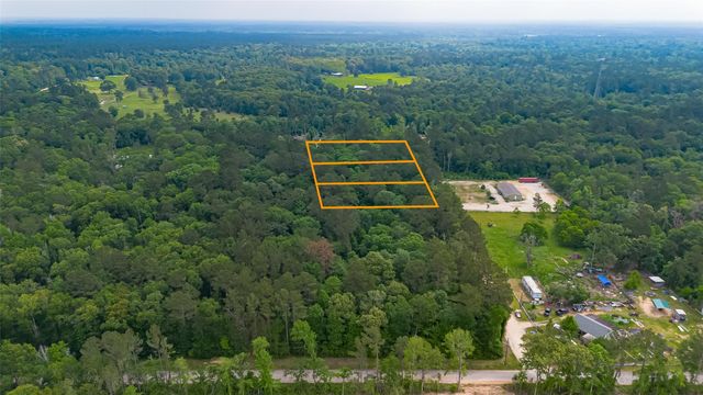 0 Pine Crest Street, Shepherd, TX 77371