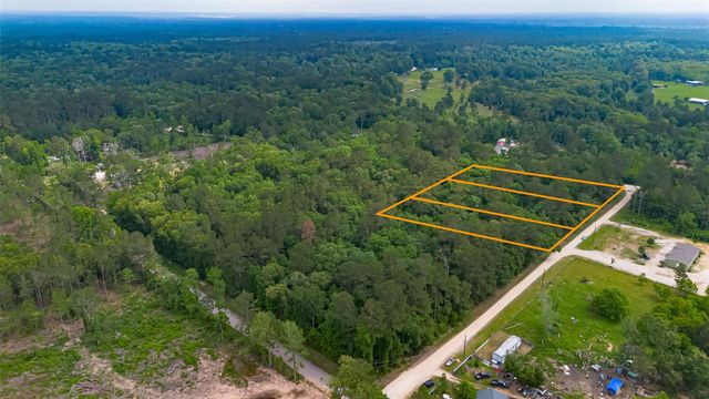 0 Pine Crest Street, Shepherd, TX 77371