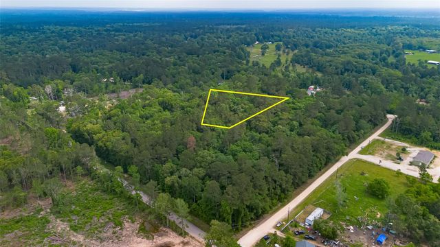 0 Pine Crest Street, Shepherd, TX 77371