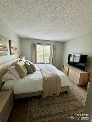 9410 S Vicksburg Park Court, Charlotte, NC 28210