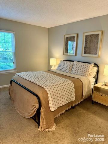 9410 S Vicksburg Park Court, Charlotte, NC 28210