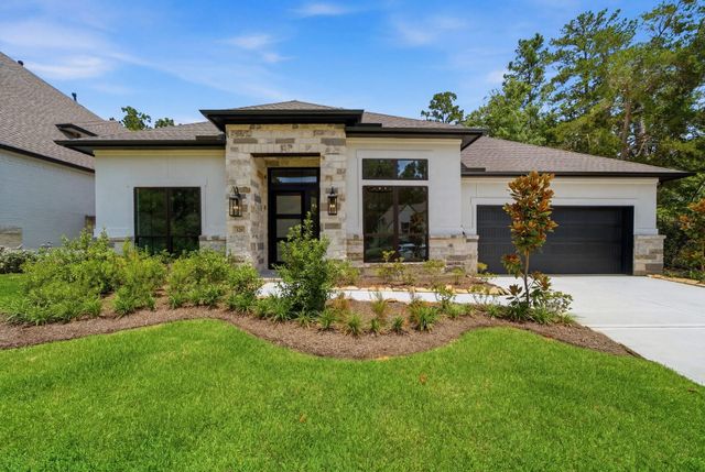 126 Stellar Hills Court, Willis, TX 77318