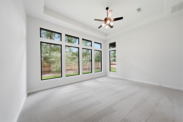 126 Stellar Hills Court, Willis, TX 77318