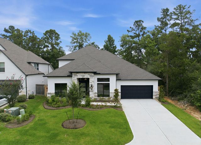 126 Stellar Hills Court, Willis, TX 77318