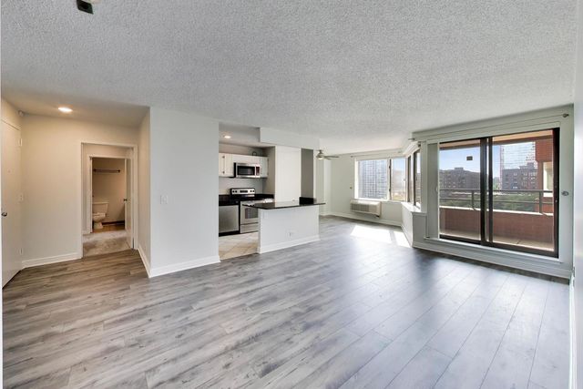 801 S Plymouth Court 1006, Chicago, IL 60605