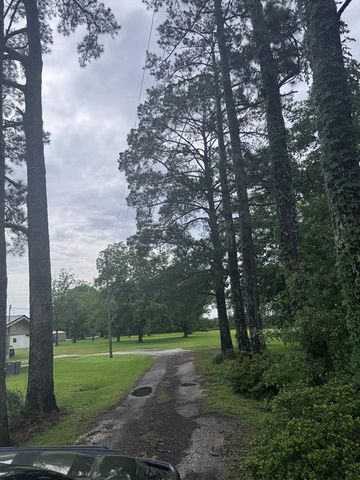 1329 N St Hwy 103, Slocomb, AL 36375