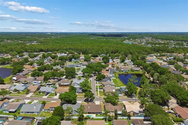 9735 CYPRESS POND AVENUE, Tampa, FL 33647