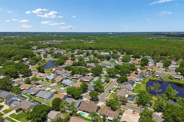 9735 CYPRESS POND AVENUE, Tampa, FL 33647