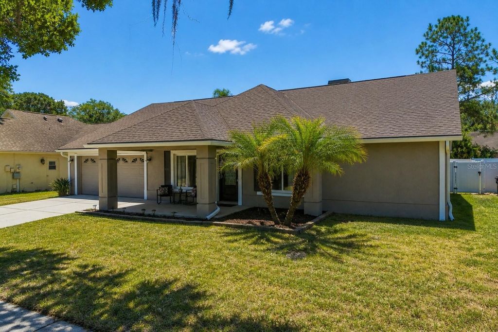 Image 2 of property listing at 9735 CYPRESS POND AVENUE, Tampa, FL 33647