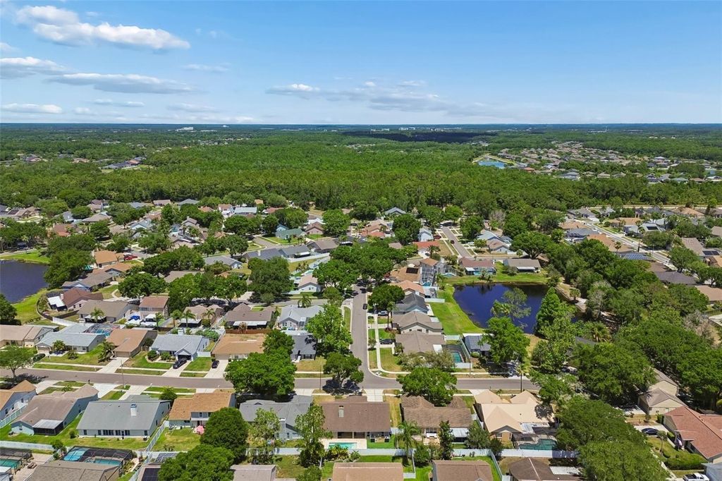 Image 21 of property listing at 9735 CYPRESS POND AVENUE, Tampa, FL 33647