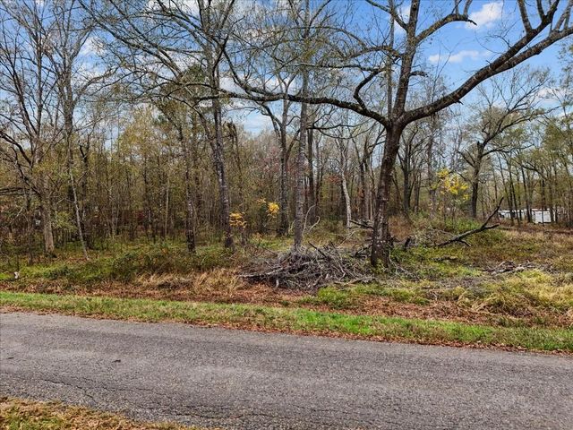 1209 County Road 2145, Cleveland, TX 77327