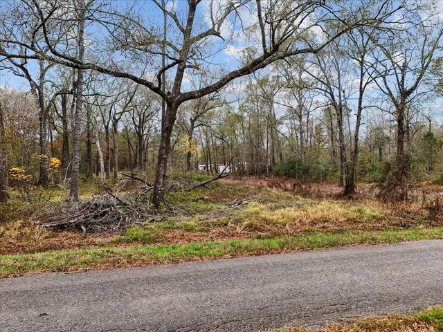 1209 County Road 2145, Cleveland, TX 77327