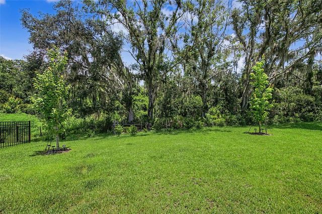 31537 HAYMAN LOOP, Wesley Chapel, FL 33543