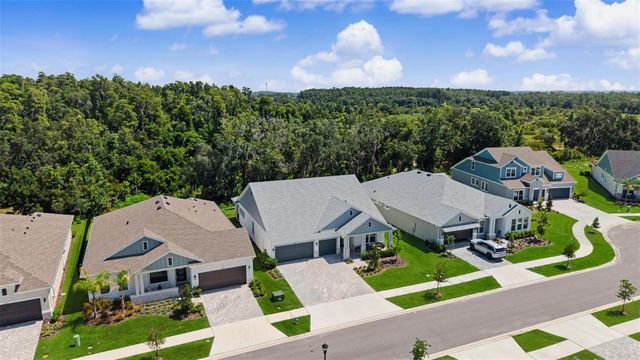 31537 HAYMAN LOOP, Wesley Chapel, FL 33543