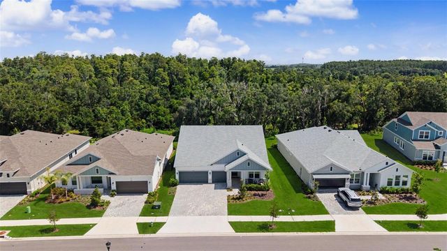 31537 HAYMAN LOOP, Wesley Chapel, FL 33543