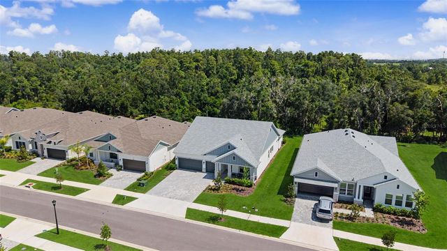 31537 HAYMAN LOOP, Wesley Chapel, FL 33543