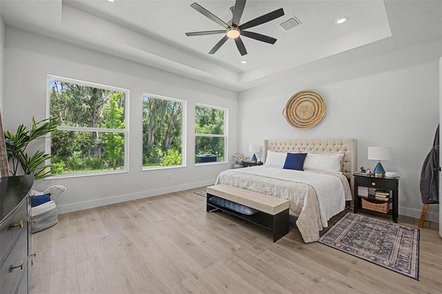 31537 HAYMAN LOOP, Wesley Chapel, FL 33543