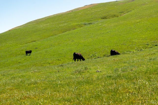 2440 Little Morro Creek Rd, Morro Bay, CA 93442