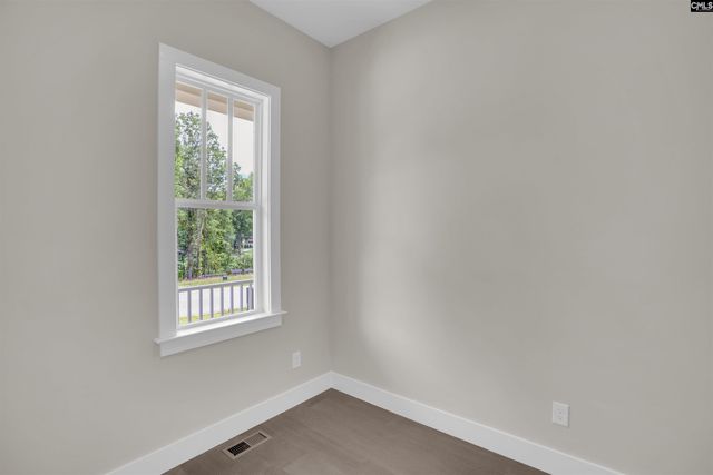1040 Refuge Place, Chapin, SC 29036