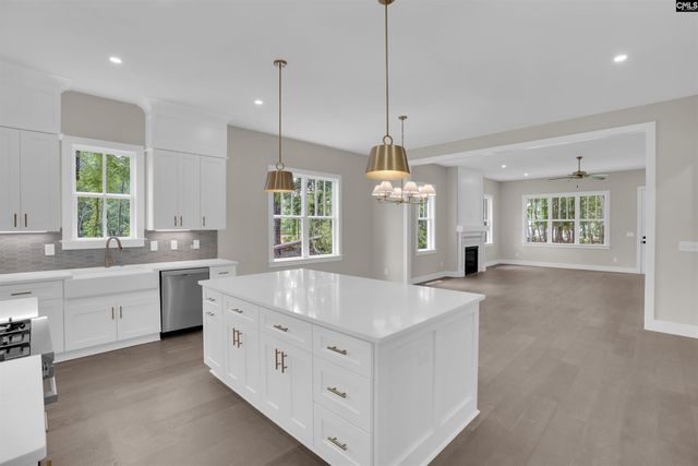 1040 Refuge Place, Chapin, SC 29036