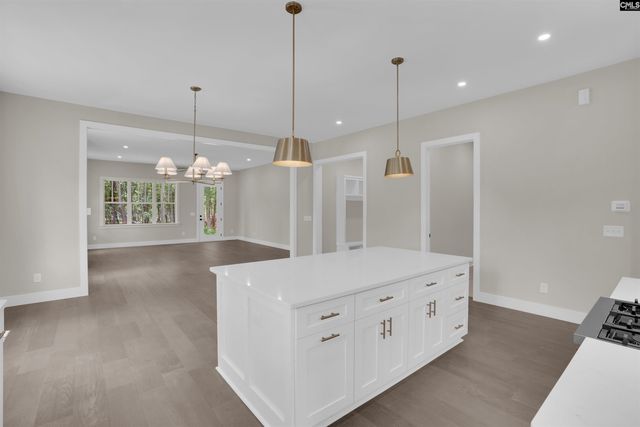 1040 Refuge Place, Chapin, SC 29036
