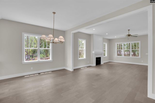 1040 Refuge Place, Chapin, SC 29036