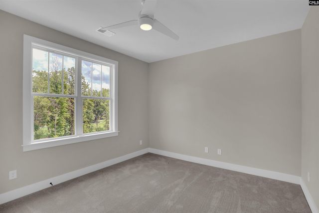 1040 Refuge Place, Chapin, SC 29036