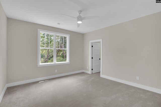 1040 Refuge Place, Chapin, SC 29036