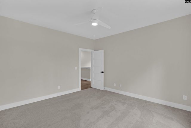 1040 Refuge Place, Chapin, SC 29036