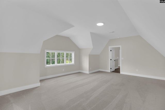 1040 Refuge Place, Chapin, SC 29036