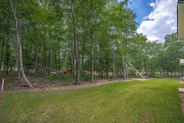 1040 Refuge Place, Chapin, SC 29036
